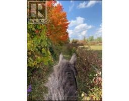 BARN AND ARENA - 18743 ST ANDREWS ROAD N, Caledon, Ontario