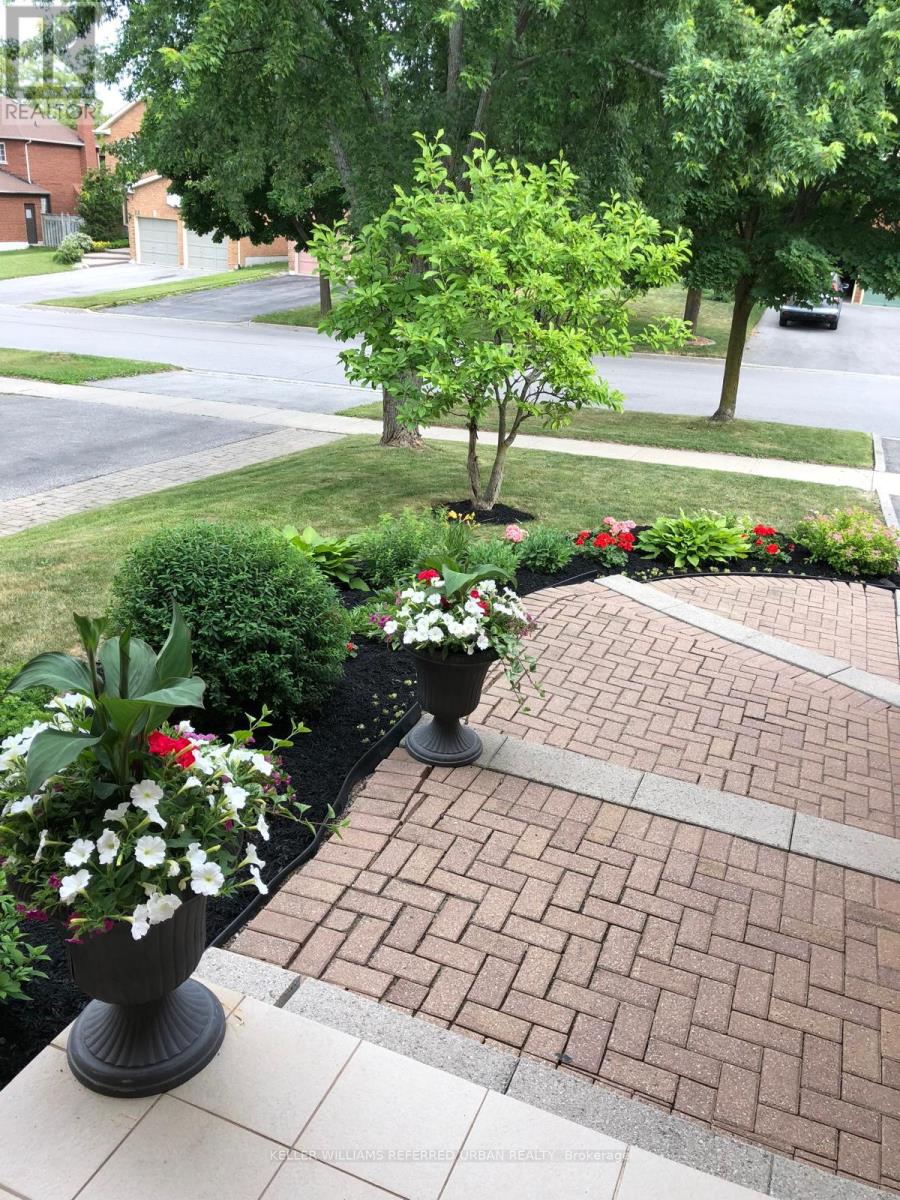 32 Nelson Circle, Newmarket, Ontario  L3X 1R1 - Photo 45 - N12543474