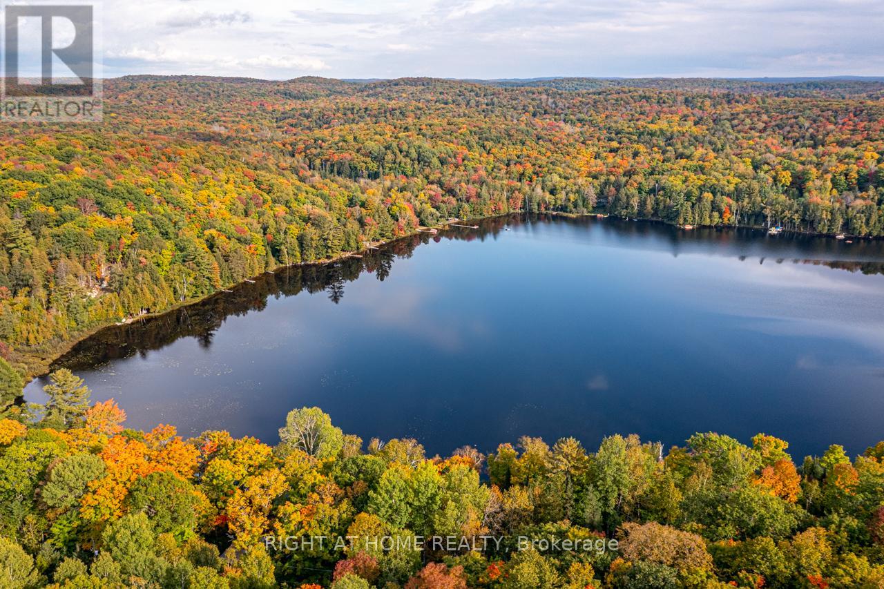 1220 Portage Lake Road, Dysart Et Al, Ontario  K0M 1S0 - Photo 25 - X12543536