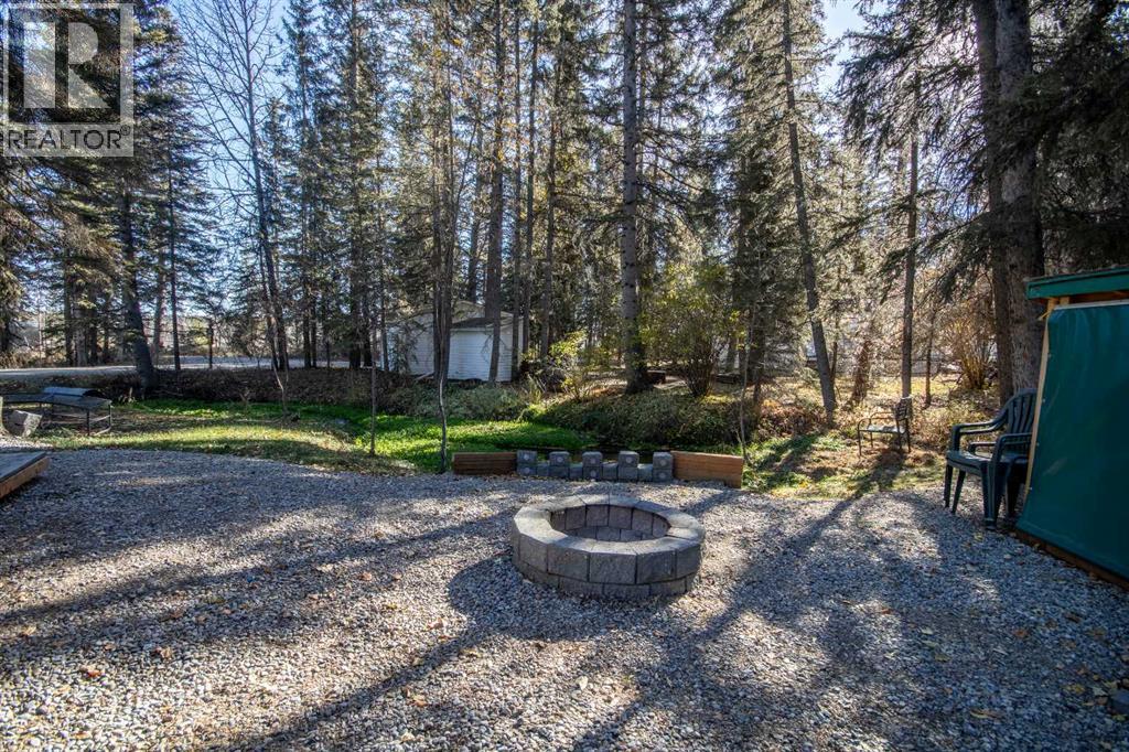 1, 200 4 Avenue Sw, Sundre, Alberta  T0M 1X0 - Photo 40 - A2267082