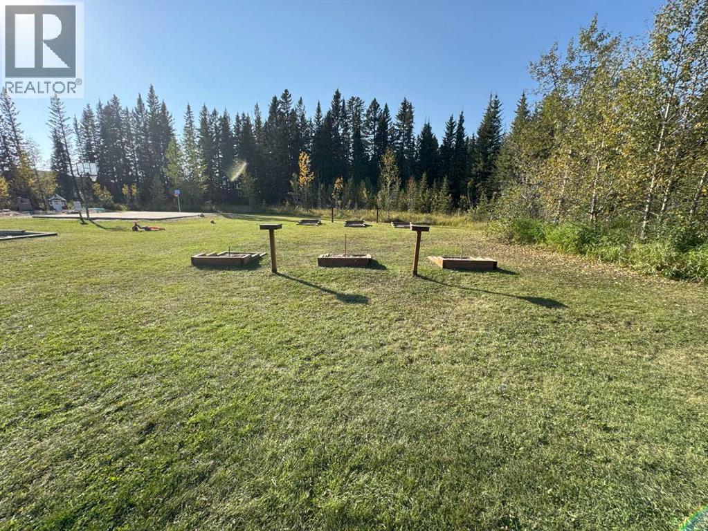 1, 200 4 Avenue Sw, Sundre, Alberta  T0M 1X0 - Photo 32 - A2267082