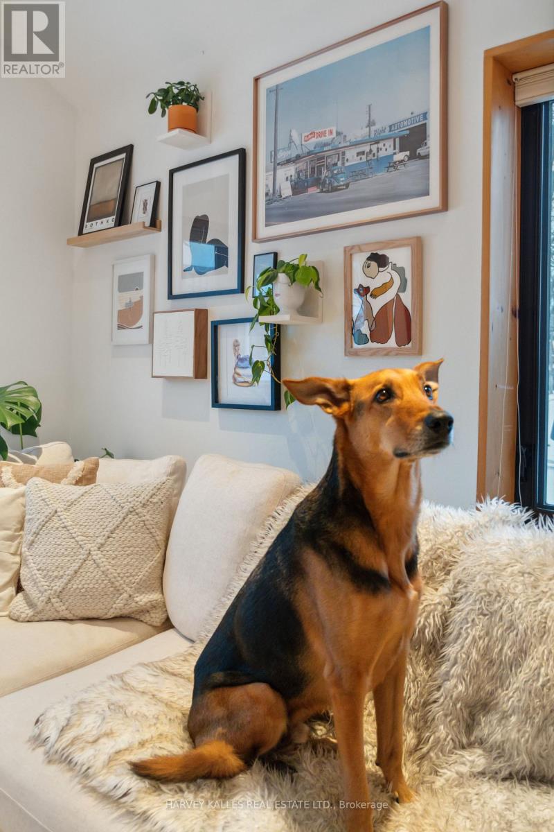 205 Beech Street, Collingwood, Ontario L9Y 2T5 - Photo 10 - S12543596