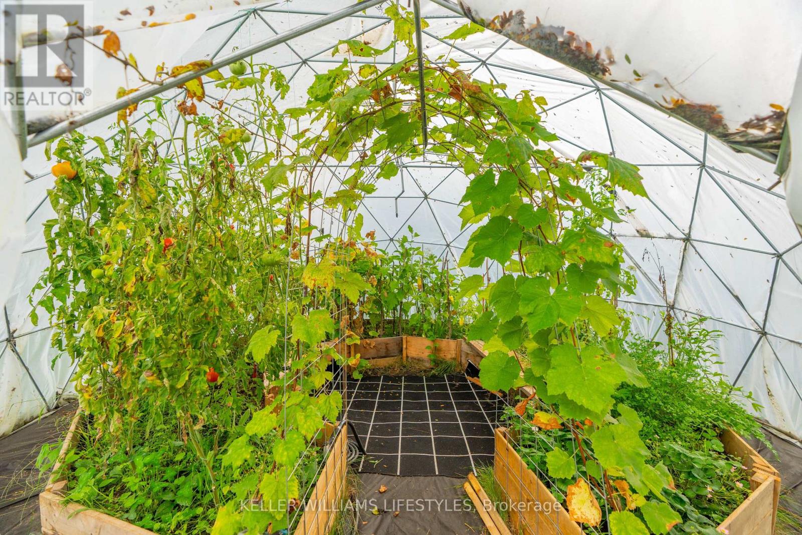 8749 Longwoods Road, Strathroy-Caradoc, Ontario  N0L 1W0 - Photo 39 - X12543644