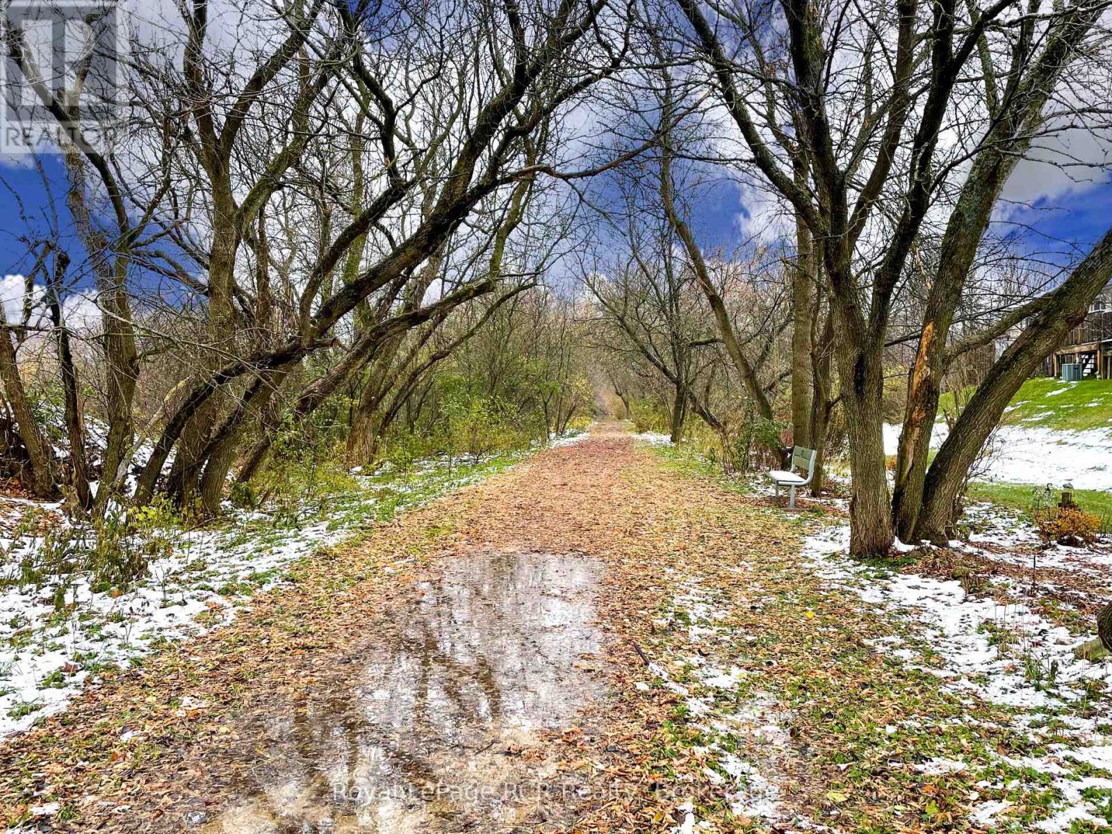 3 - 302 Park Street W, West Grey, Ontario  N0G 1R0 - Photo 29 - X11892373