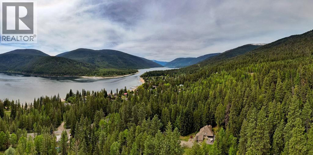 4225 3a Highway, Nelson, British Columbia  V1L 6N1 - Photo 90 - 10359107