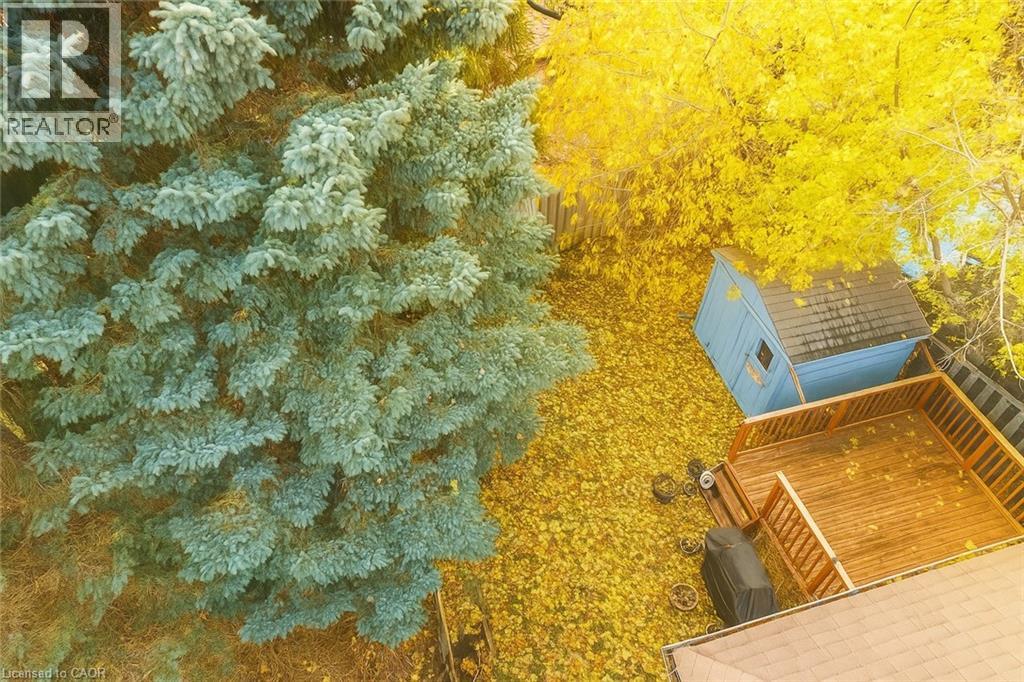 15 Albion Street, Kitchener, Ontario N2E 2R9 - Photo 45 - 40786417