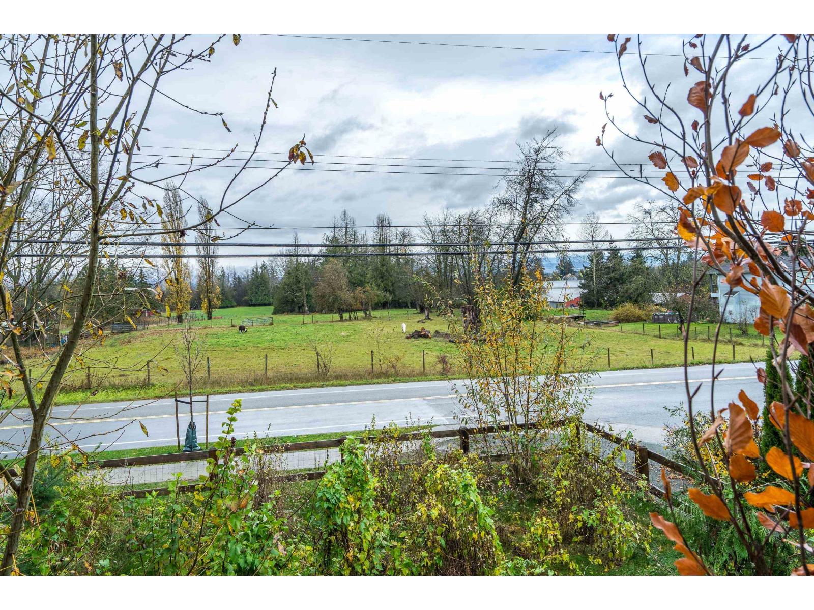 36 4750 228 Street, Langley, British Columbia  V2Z 0A9 - Photo 5 - R3016364