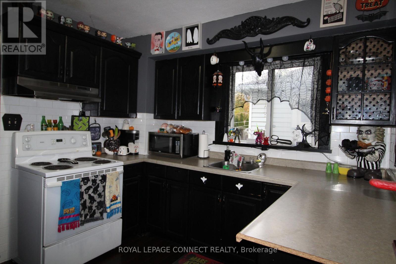 9 Prince Street, St. Catharines, Ontario  L2R 3X6 - Photo 4 - X12543928