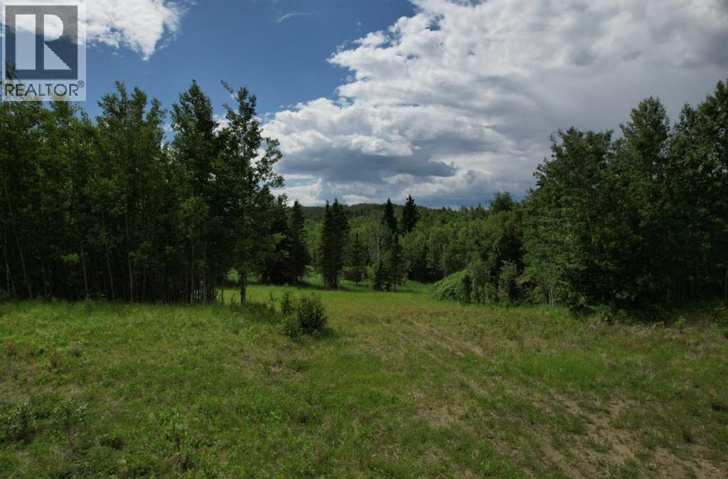 19 Mountain Springs, Rural Woodlands County, Alberta  T7S 1N3 - Photo 1 - A2254939