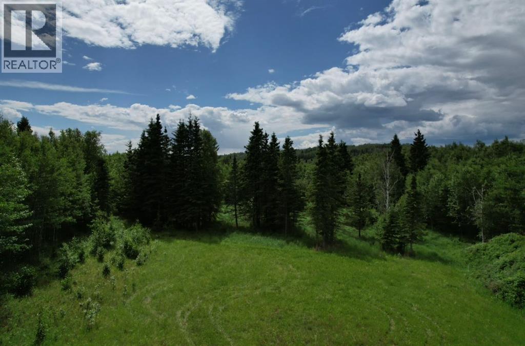 19 Mountain Springs, Rural Woodlands County, Alberta  T7S 1N3 - Photo 2 - A2254939