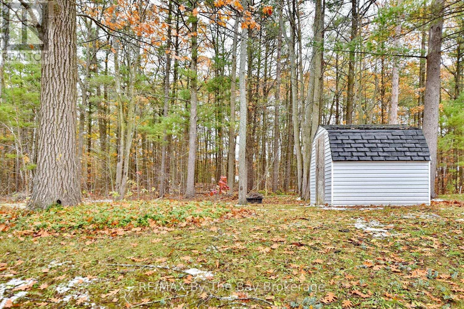 41 Wesley Avenue, Wasaga Beach, Ontario  L9Z 1C8 - Photo 36 - S12544016