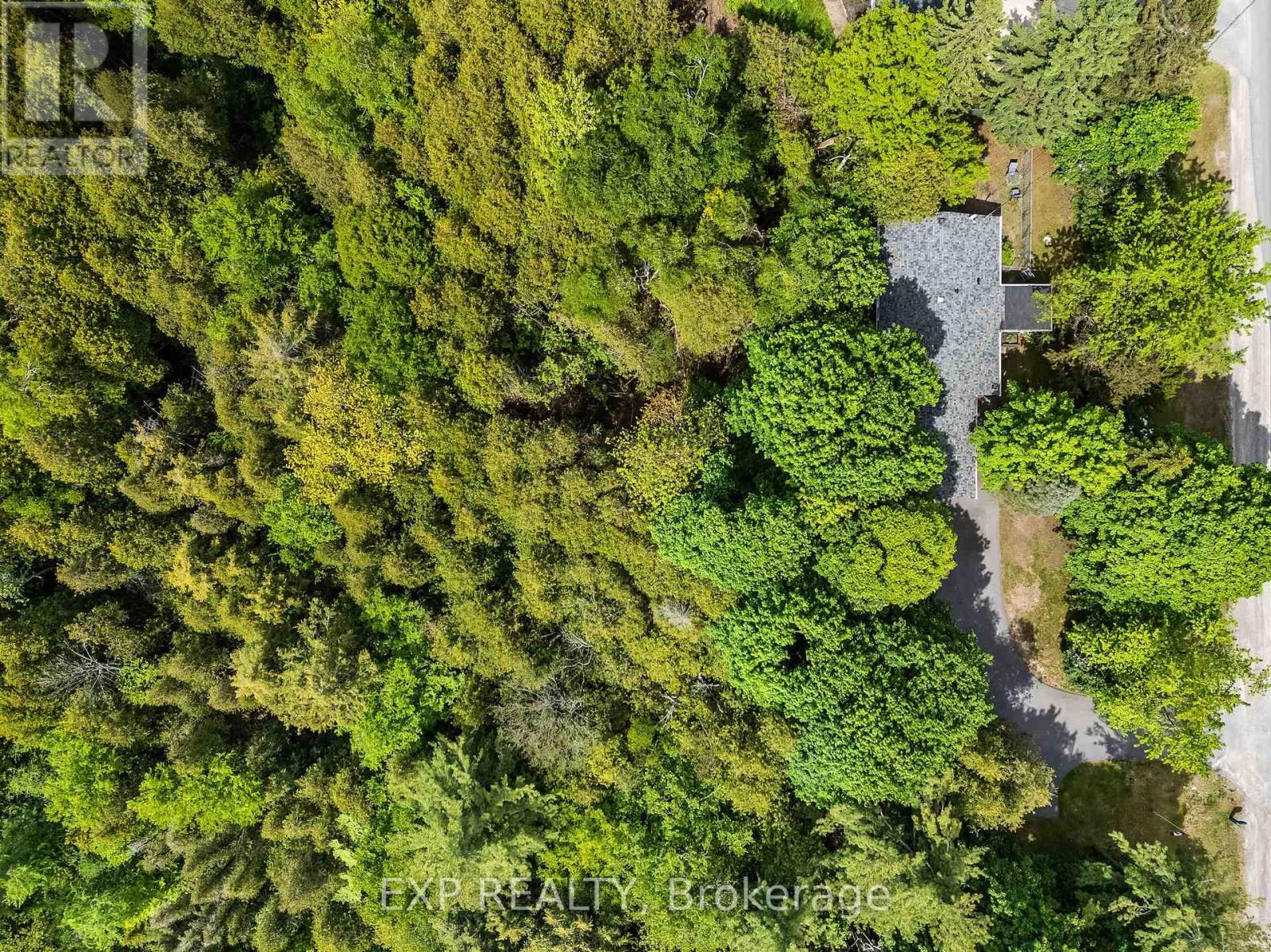 4558 County Road 45, Hamilton Township, Ontario K9A 4J9 - Photo 31 - X12544020