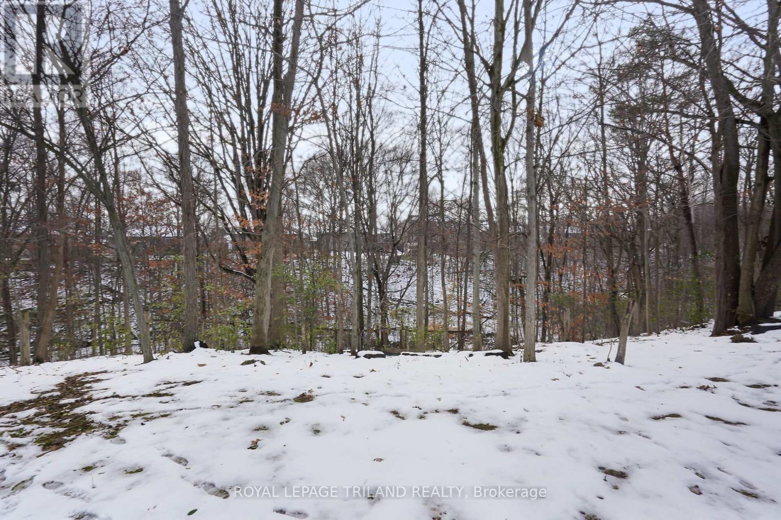 36 Thorman Terrace, St. Thomas, Ontario  N5P 4H9 - Photo 42 - X12544072