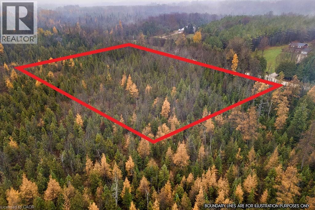 Pt Lt 11 Concession 11, West Grey, Ontario  N0C 1H0 - Photo 3 - 40786910