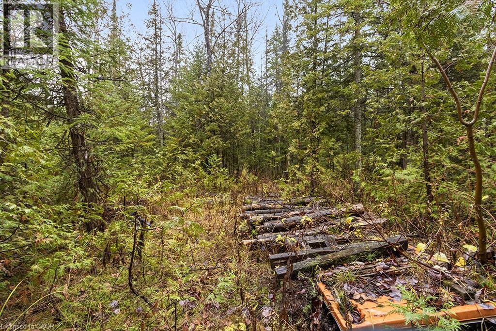 Pt Lt 11 Concession 11, West Grey, Ontario  N0C 1H0 - Photo 13 - 40786910