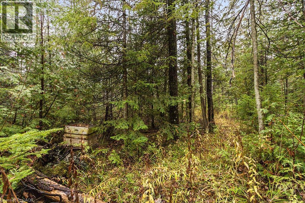 Pt Lt 11 Concession 11, West Grey, Ontario  N0C 1H0 - Photo 10 - 40786910