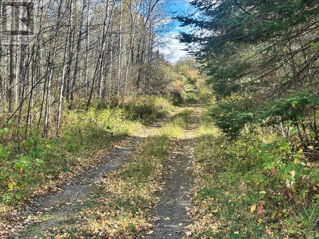 267 Sitch Road, Kakabeka Falls, Ontario P0T 1W0 - Photo 2 - TB253245