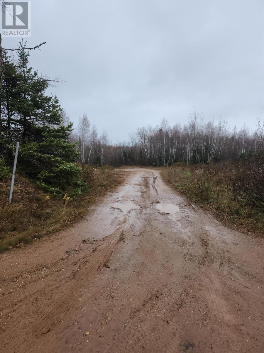 Acreage Campbells Road, Whim Road, Prince Edward Island  C0A 1R0 - Photo 4 - 202527912
