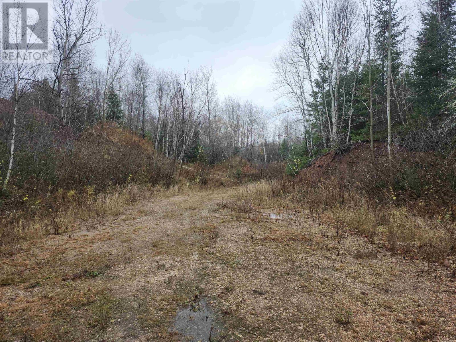 Acreage Campbells Road, Whim Road, Prince Edward Island  C0A 1R0 - Photo 6 - 202527912