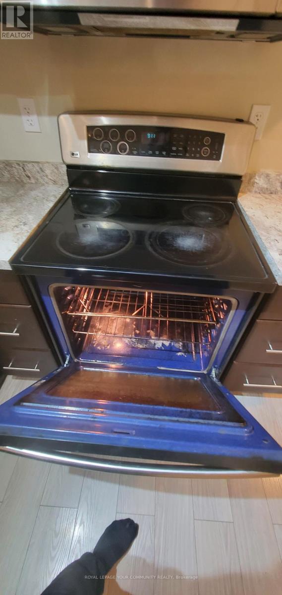 Basement - 61 Nightstar Drive, Richmond Hill, Ontario  L4C 8H8 - Photo 26 - N12509618