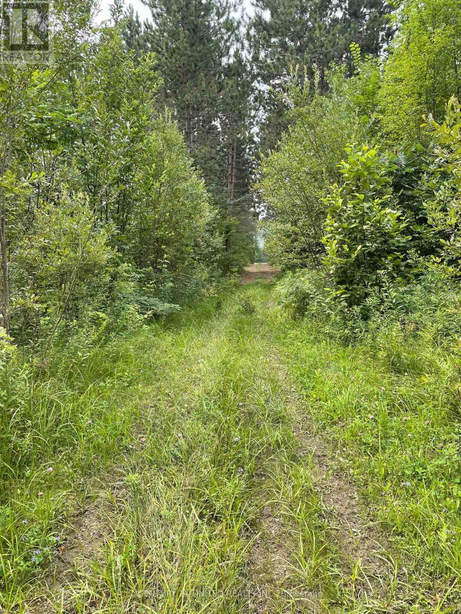 0 Government Road, Whitewater Region, Ontario  K0J 1C0 - Photo 3 - X12544328