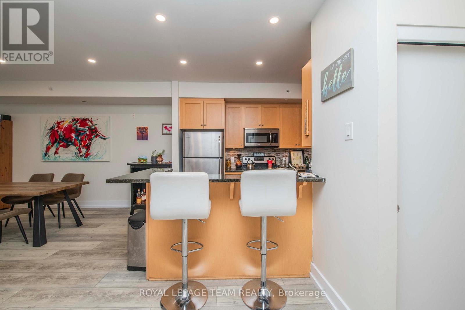 102 - 390 Booth Street, Ottawa, Ontario K1R 7K6 - Photo 9 - X12544494