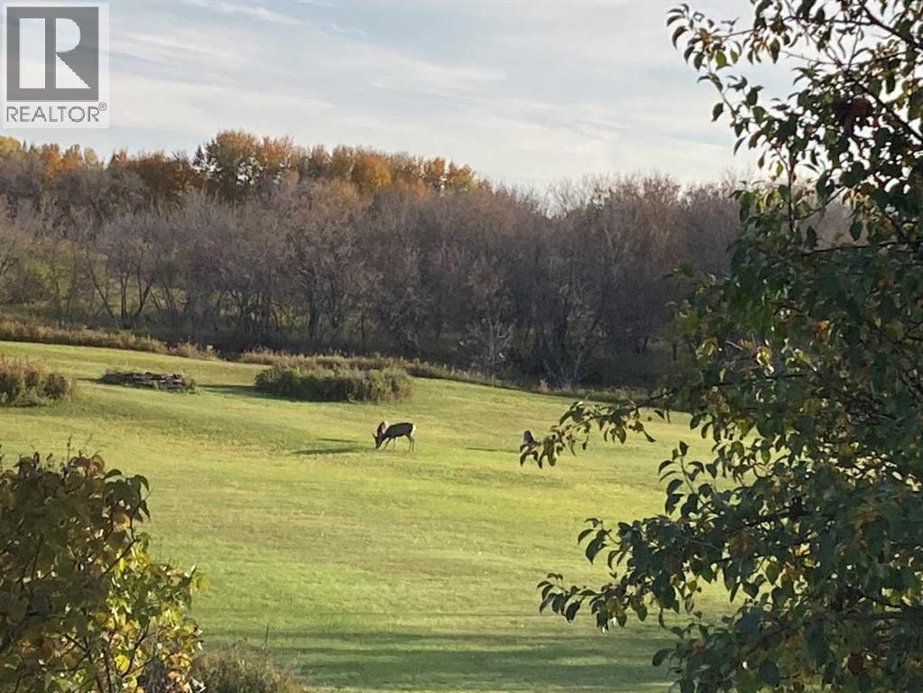 5207 49 Street, Ponoka, Alberta  T4J 1E1 - Photo 8 - A2229990