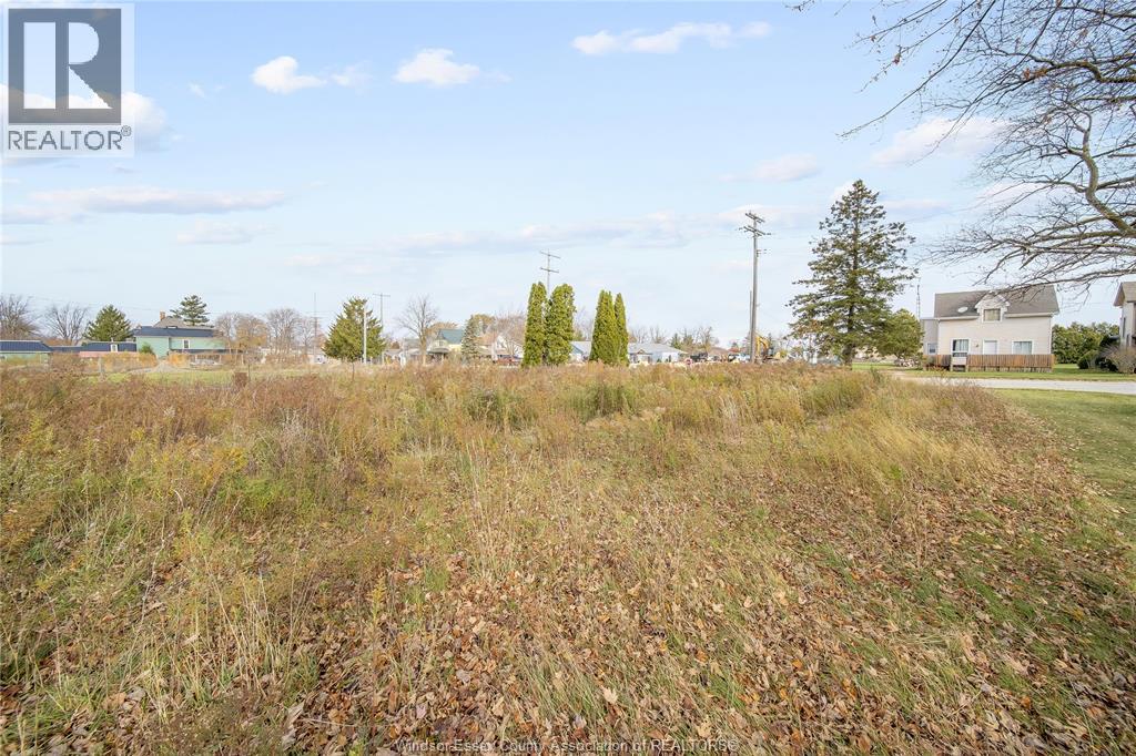 123 Erie St. S., Merlin, Ontario N0P 1W0 - Photo 5 - 25028477