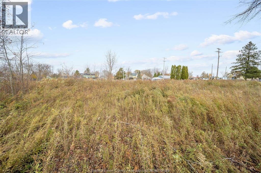 123 Erie St. S., Merlin, Ontario N0P 1W0 - Photo 6 - 25028477