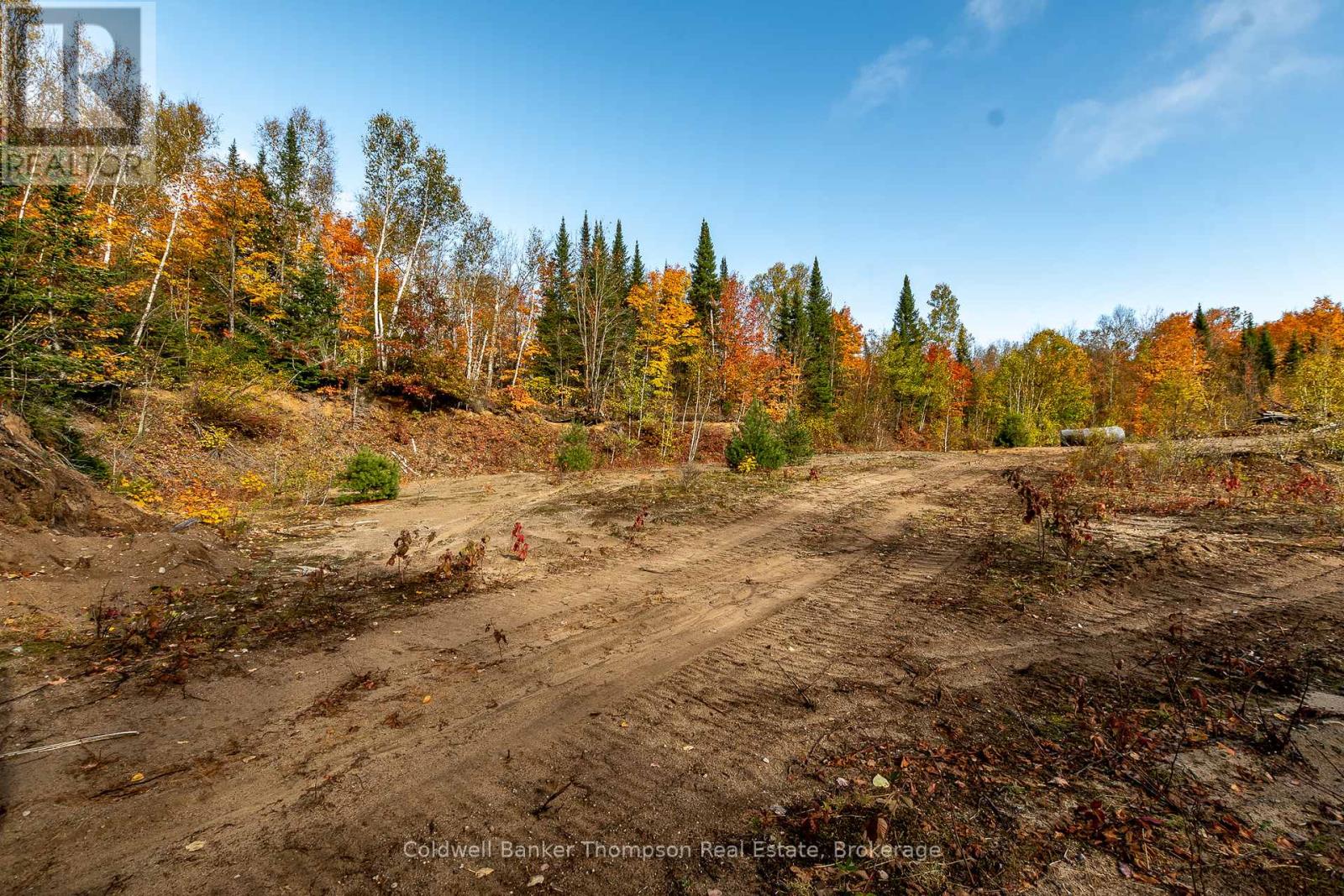 Lot 1 Emsdale Lake Road, Perry, Ontario P0A 1J0 - Photo 10 - X12544422