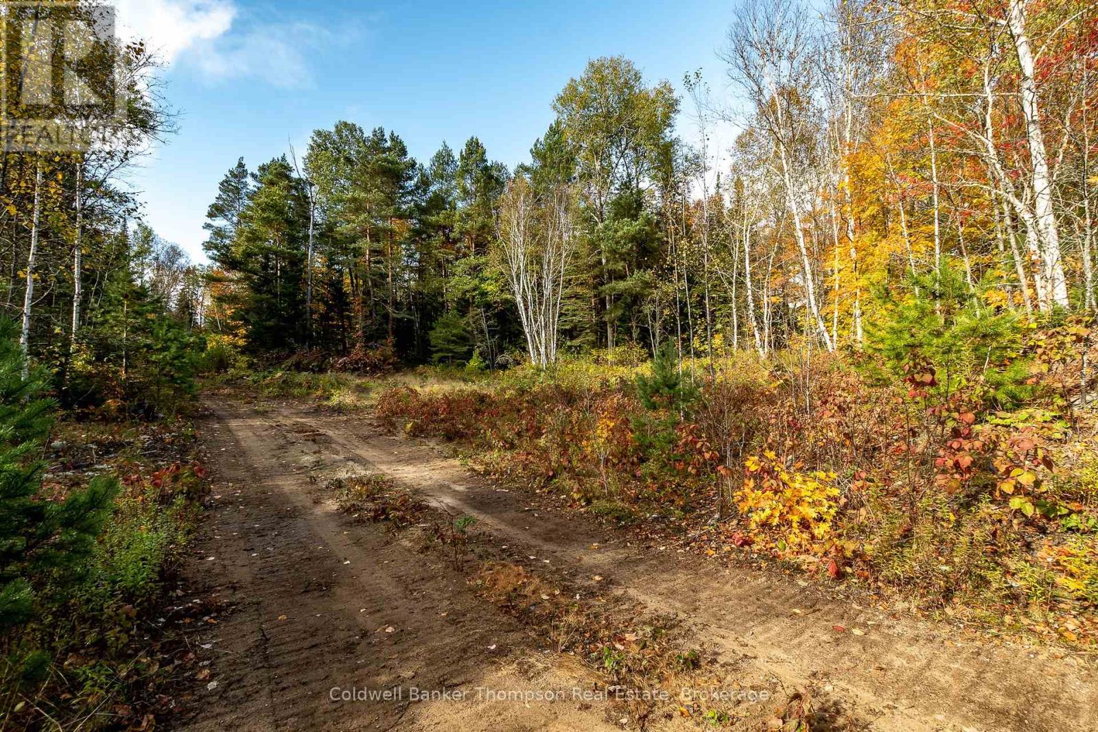 Lot 1 Emsdale Lake Road, Perry, Ontario P0A 1J0 - Photo 13 - X12544422