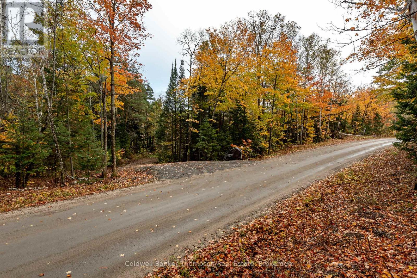 Lot 1 Emsdale Lake Road, Perry, Ontario P0A 1J0 - Photo 3 - X12544422