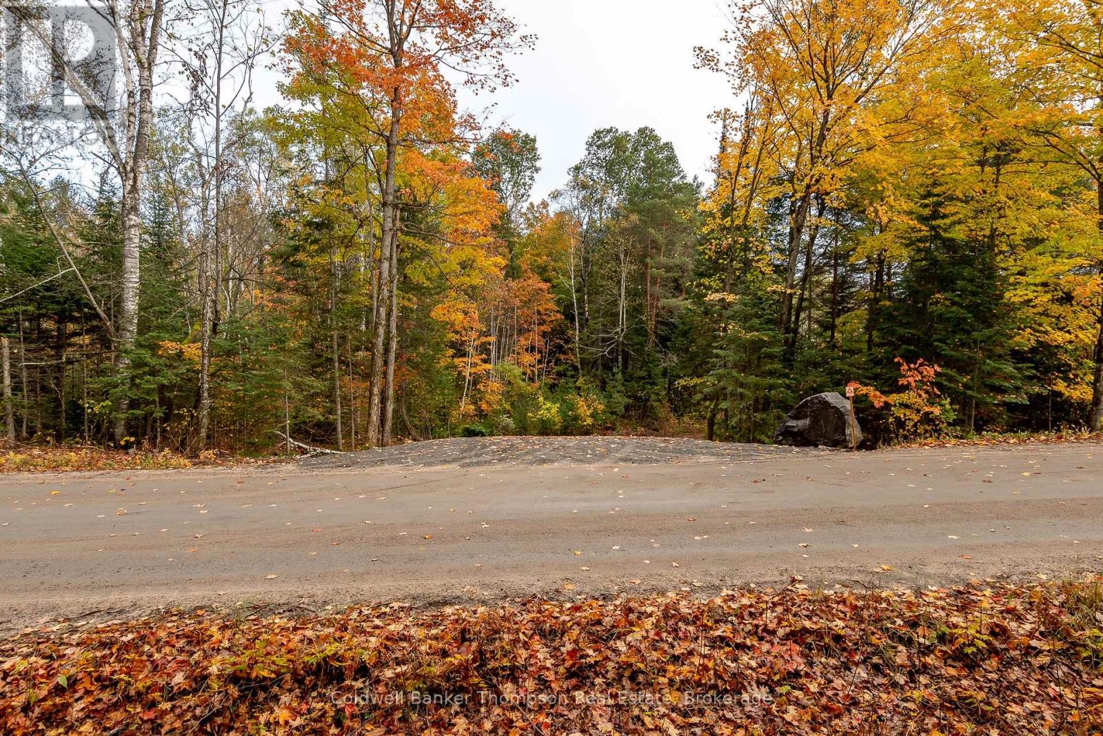Lot 1 Emsdale Lake Road, Perry, Ontario P0A 1J0 - Photo 4 - X12544422