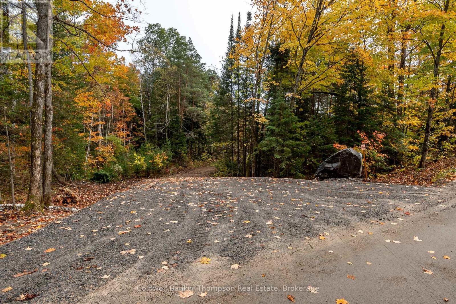 Lot 1 Emsdale Lake Road, Perry, Ontario P0A 1J0 - Photo 5 - X12544422
