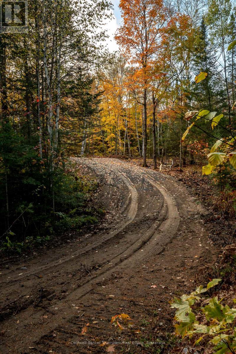 Lot 1 Emsdale Lake Road, Perry, Ontario P0A 1J0 - Photo 6 - X12544422