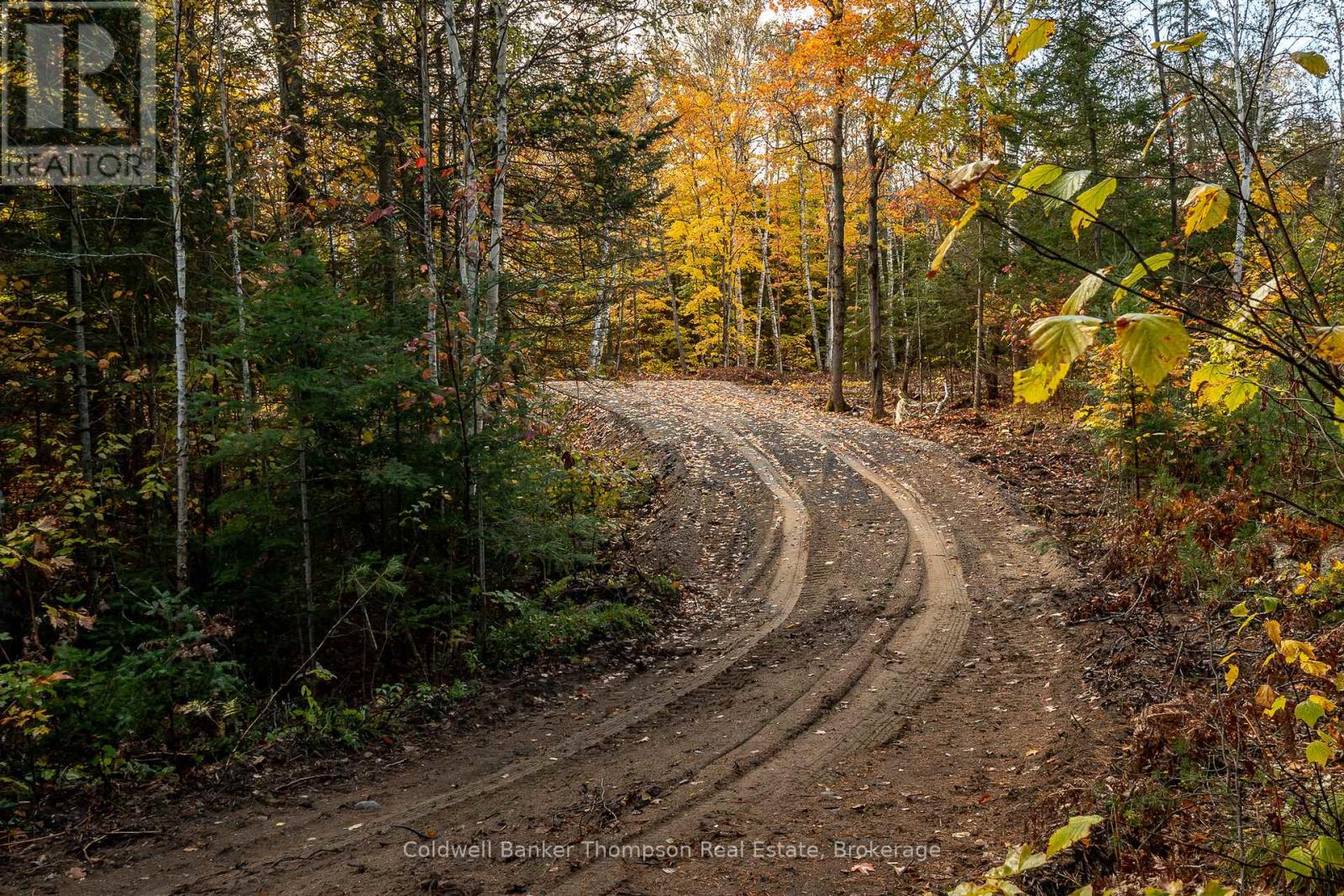 Lot 1 Emsdale Lake Road, Perry, Ontario P0A 1J0 - Photo 7 - X12544422