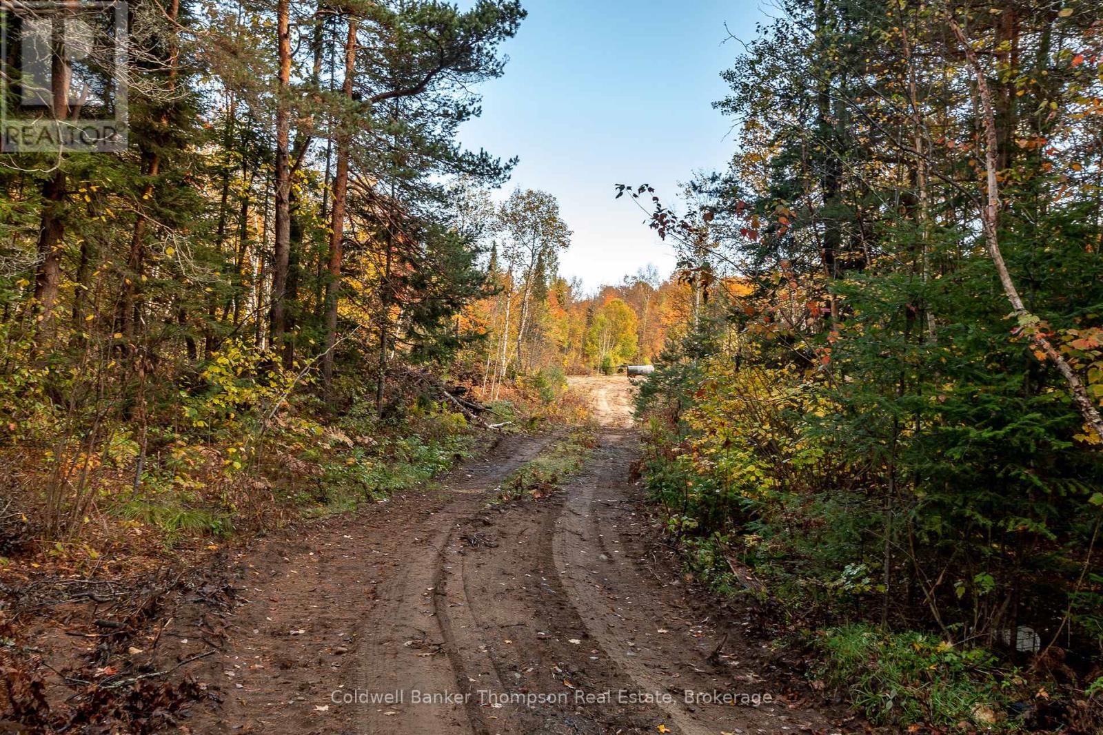 Lot 1 Emsdale Lake Road, Perry, Ontario P0A 1J0 - Photo 8 - X12544422