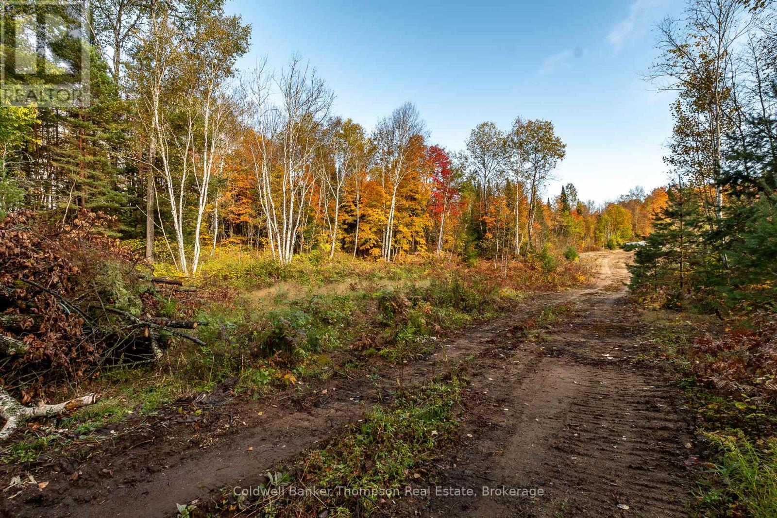 Lot 1 Emsdale Lake Road, Perry, Ontario P0A 1J0 - Photo 9 - X12544422