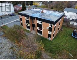 16 Riverview Avenue, Mount Pearl, Newfoundland & Labrador