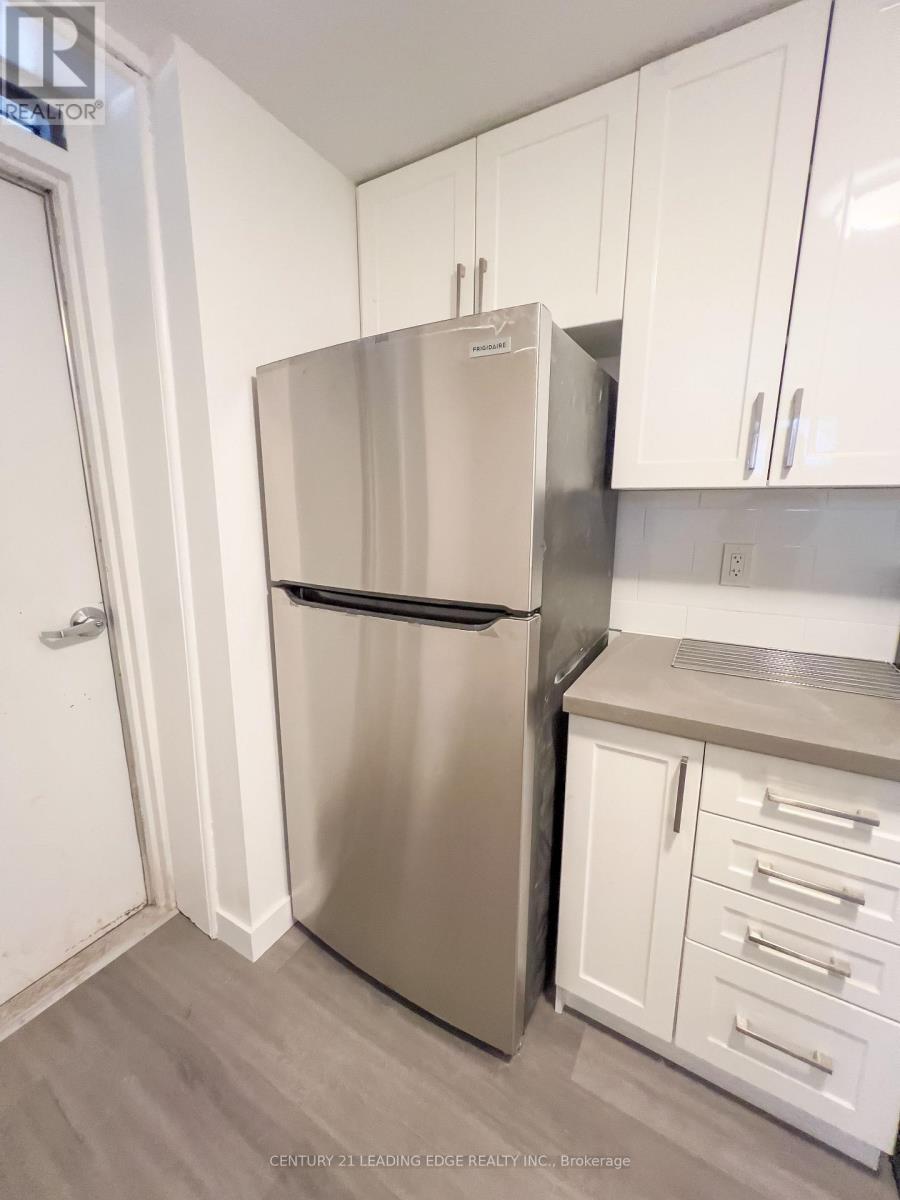 Lower - 1a Leonard Avenue, Toronto, Ontario  M5T 2P8 - Photo 7 - C12544478