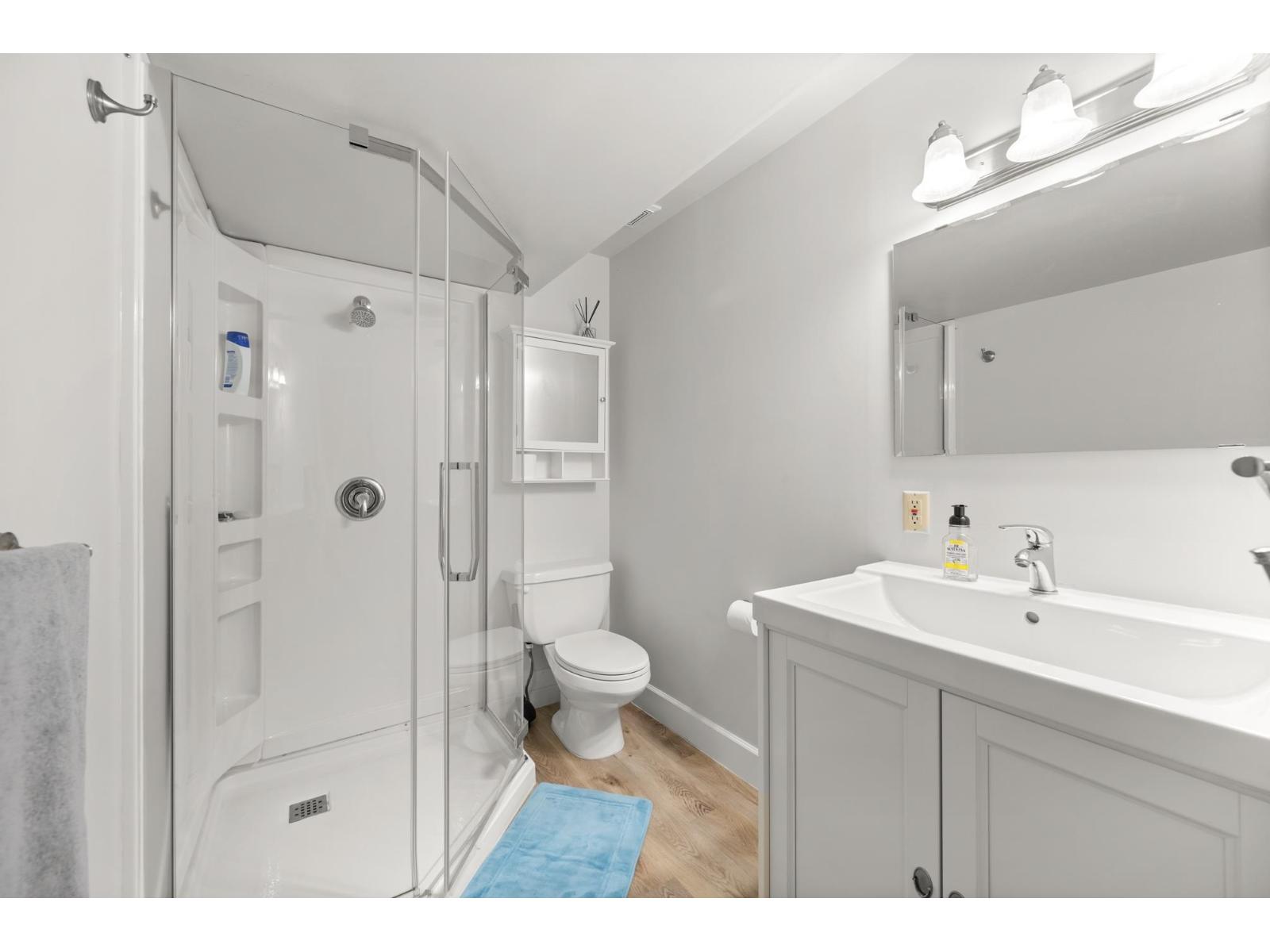 8995 Trattle Street, Langley, British Columbia  V1M 2S4 - Photo 32 - R3058989