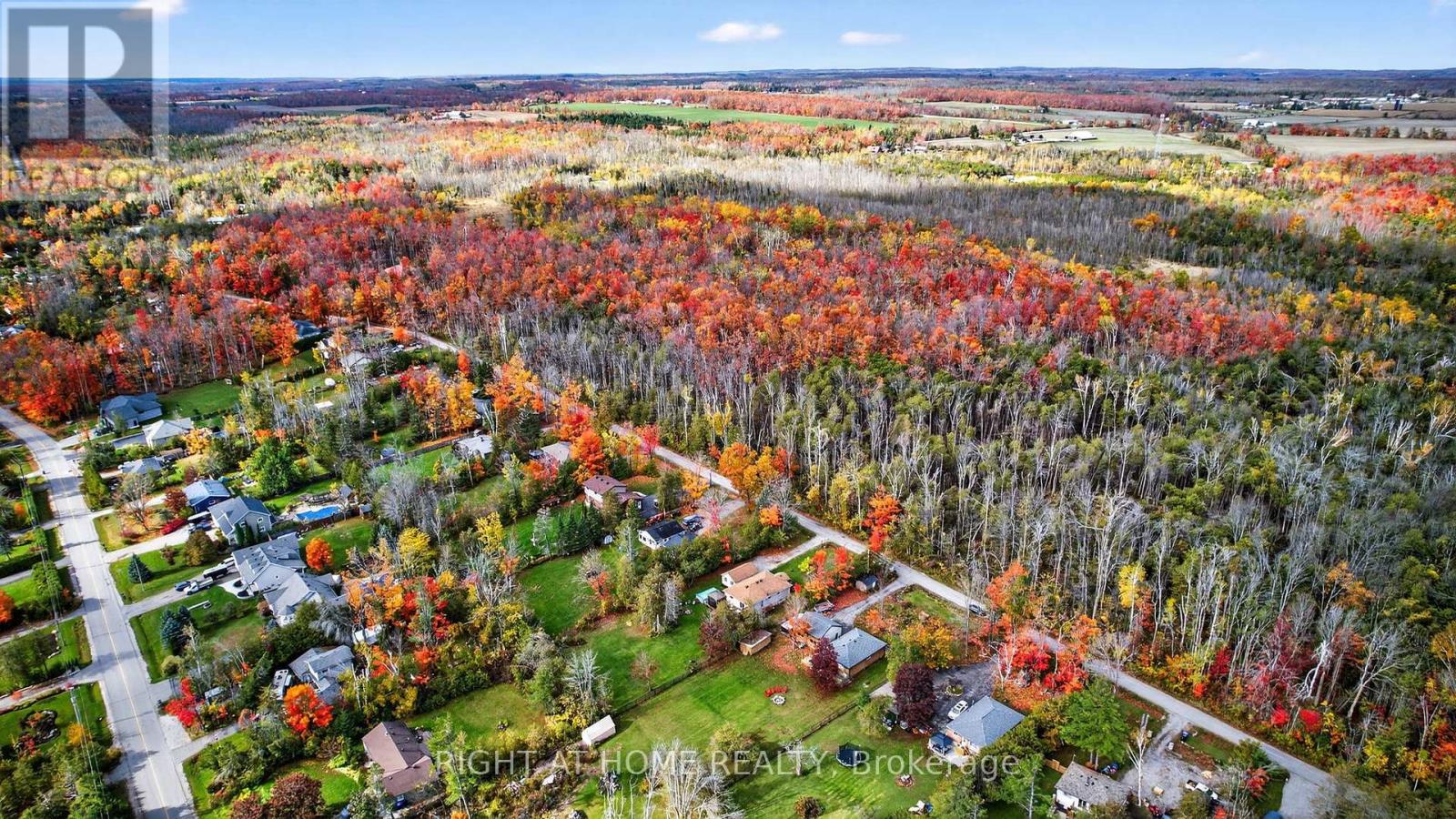 73 Poplar Crescent, Oro-Medonte, Ontario  L0L 1T0 - Photo 3 - S12544498