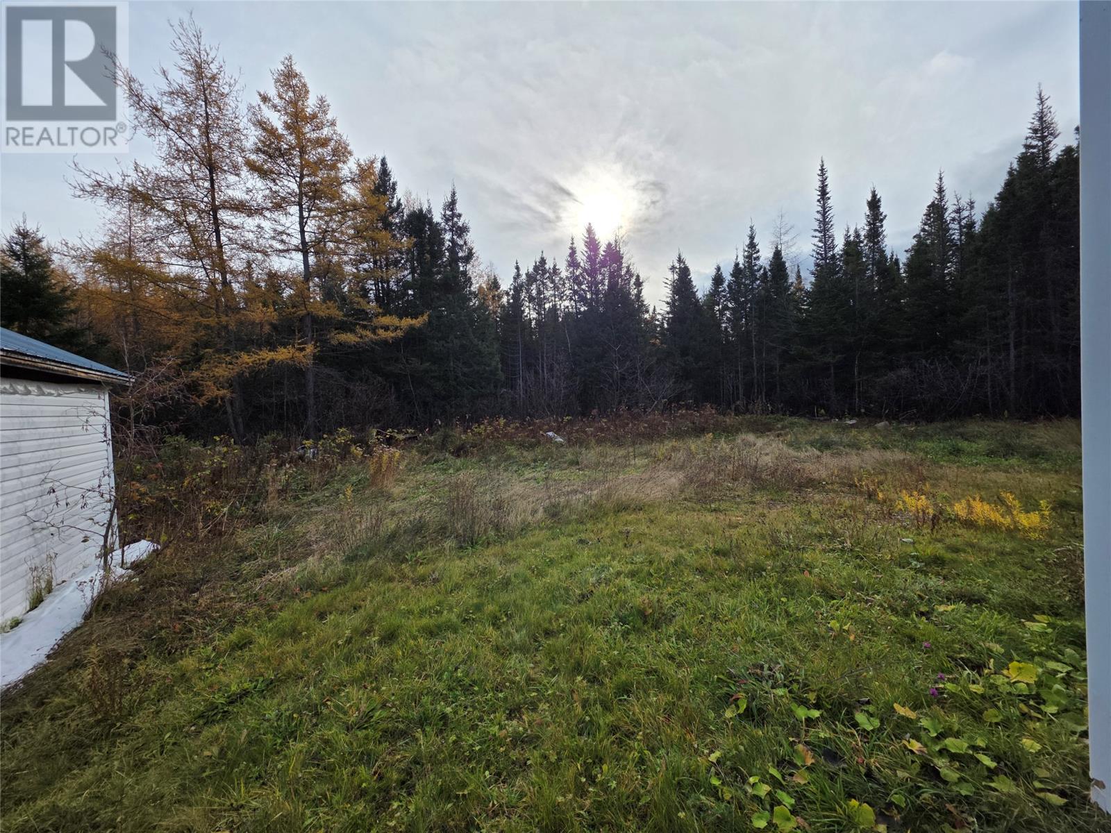 90 Trans Canada Highway, Pynn's Brook, Newfoundland & Labrador  A8A 3B2 - Photo 16 - 1292610