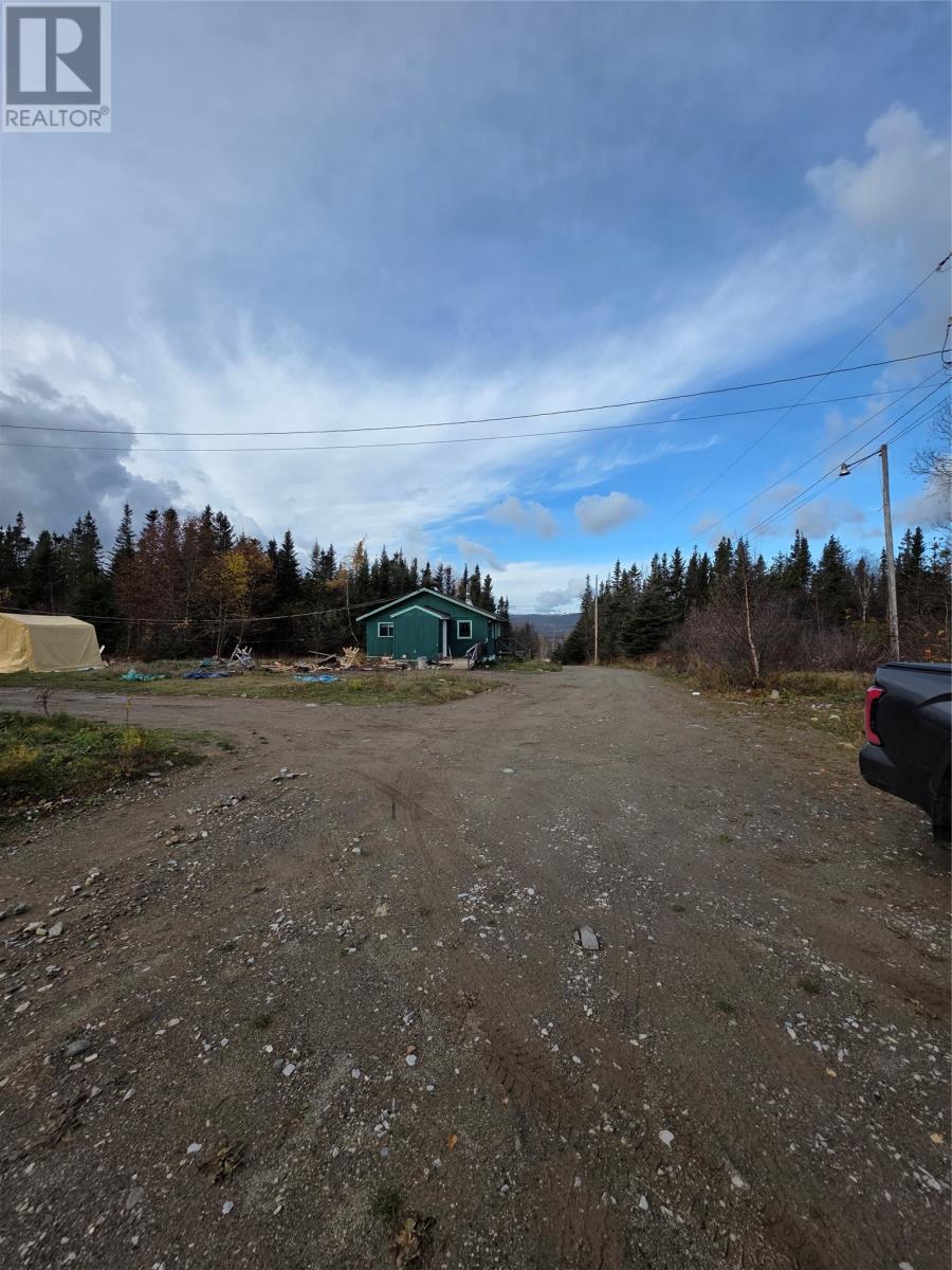 90 Trans Canada Highway, Pynn's Brook, Newfoundland & Labrador  A8A 3B2 - Photo 19 - 1292610