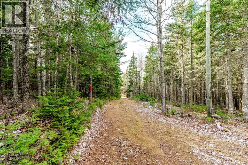 17 Deerwood Drive, Elgin, New Brunswick  E4Z 1S3 - Photo 35 - NB130135