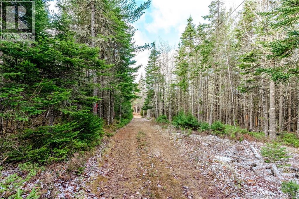 17 Deerwood Drive, Elgin, New Brunswick  E4Z 1S3 - Photo 37 - NB130135