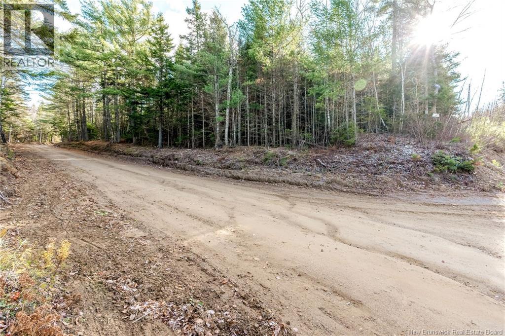 17 Deerwood Drive, Elgin, New Brunswick  E4Z 1S3 - Photo 49 - NB130135