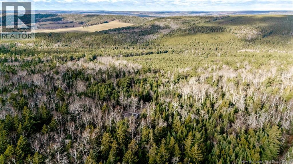 17 Deerwood Drive, Elgin, New Brunswick  E4Z 1S3 - Photo 8 - NB130135