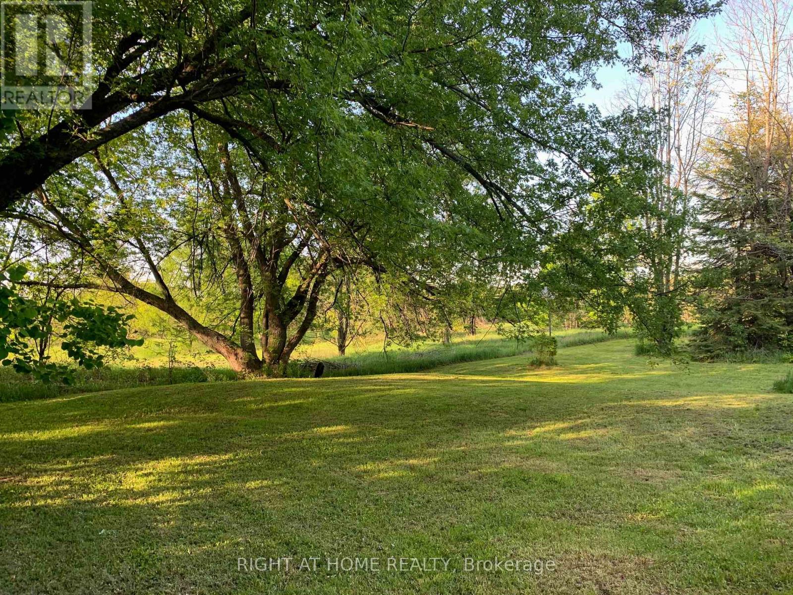 2421 10 Side Road N, New Tecumseth, Ontario  L0G 1W0 - Photo 4 - N12542576