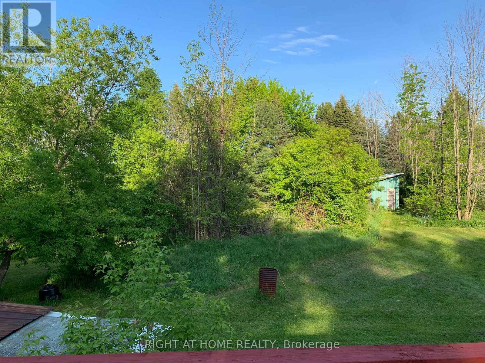 2421 10 Side Road N, New Tecumseth, Ontario  L0G 1W0 - Photo 6 - N12542576